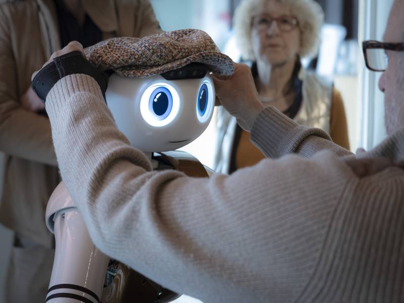 Onyro - Restauration